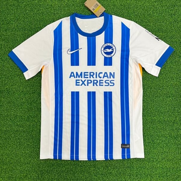 Brighton Hove Albion 2024-2025 home game